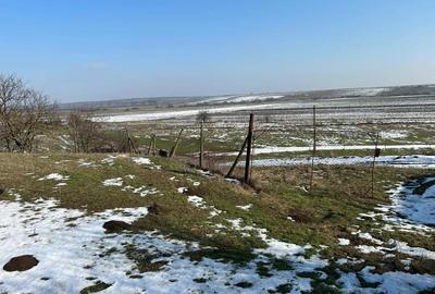 Teren de 1440 mp, în Murani - 2