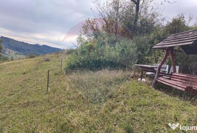 Teren de 3082 mp, în Damiș - 11