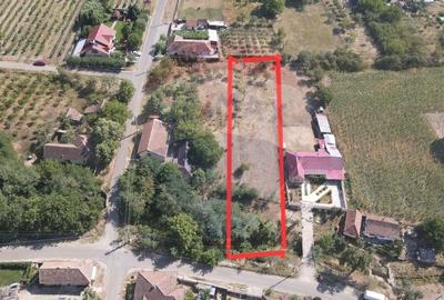 Teren Construcții intravilan de 896 mp, în Șiria