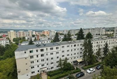 Garsonieră semidecomandată în Mănăștur - 1