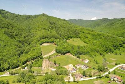 Teren de 16000 mp, în Poiana Mărului - 2