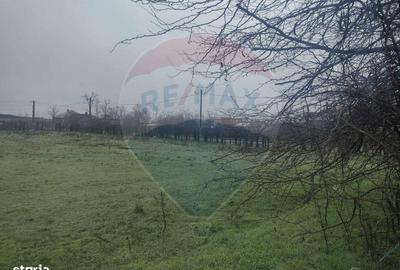 Spațiu comercial, în Cocora - 4