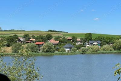 Casă cu 5 camere cu Teren 1930 Mp în Geaca - 7