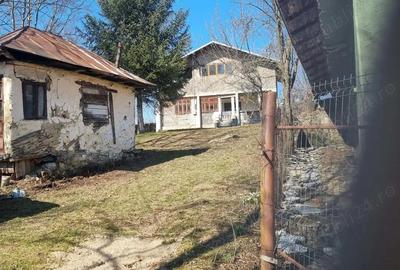 Casă cu Teren 600 Mp în Drăgăneasa - 2