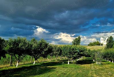 Casă cu 6 camere cu Teren 3000 Mp în Cataloi - 12