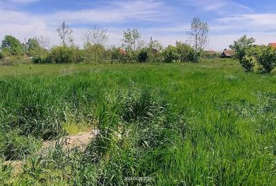 Casă cu Teren 1400 Mp în Tormac - 4