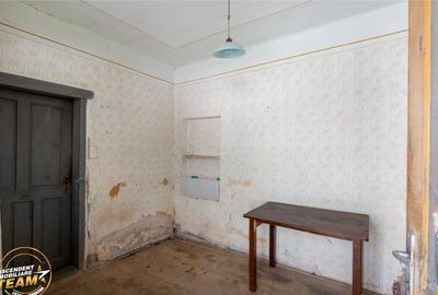 FILM!Doua case traditionale,pe domeniu cu peste 5.000mp tere - 13