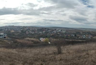 Teren intravilan 479mp in Dezmir - 4