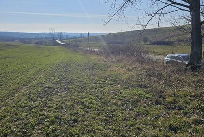 Teren de 1500 mp, în Cetariu - 6
