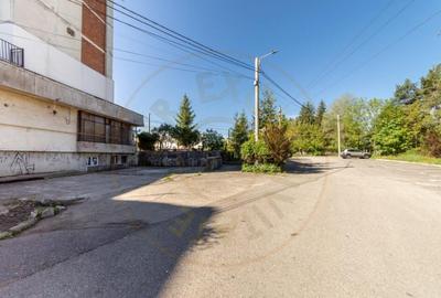 Inchiriere spatiu de depozitare 247 mp, curte 158 mp, Campul - 19