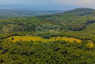 COMISION 0% Teren 1020mp / Intravilan/PUZ/ Grid - 8