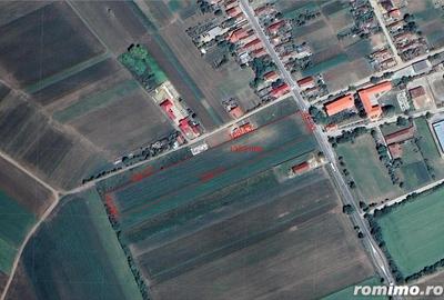 1.3 Ha teren intravilan la intrare in Valea lui Mihai - IMOBIHOR - 1