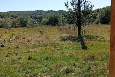 Casă cu 4 camere în Cacica - 7