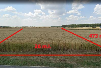 Teren Intravilan Constructii de 12.300 mp, Cu Deschidere la Sosea Asfaltata - 4