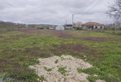 Spațiu comercial, în Daia - 3