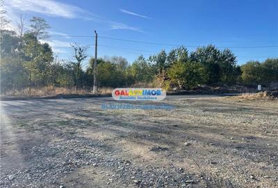 Teren Construcții intravilan de 9202 mp, în Domnești - 1