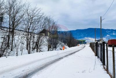 Teren intravilan 9.574 mp în Săliște, poziție strategică, ideal invest - 2