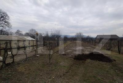 Casa 4 camere,200mp,teren 3000 mp,zona Livezile - 2