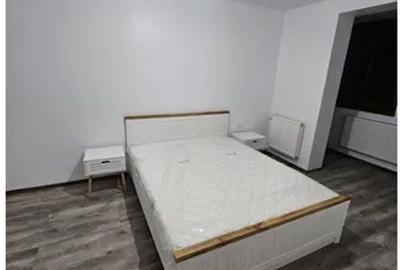 Apartament cu 2 camere semidecomandat, mobilat în Rogerius - 3