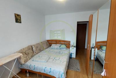 Apartament cu 3 camere decomandat, mobilat în Brazda lui Novac - 3