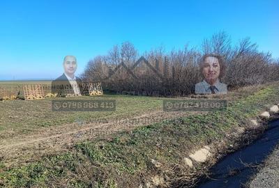 Teren 5000 mp, ieșire din Tecuci, după Peco Gălbenuș - 2