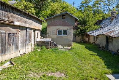 Casa taraneasca de vanzare- PARAVA-BACAU - 7