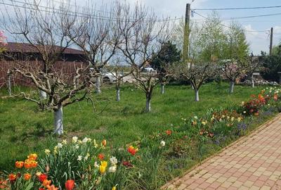 Casă cu 3 camere în Mărginenii de Sus - 11