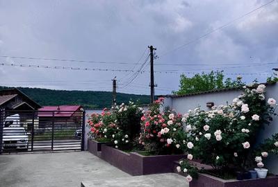 Casă cu Teren 867 Mp în Drăganu - 9