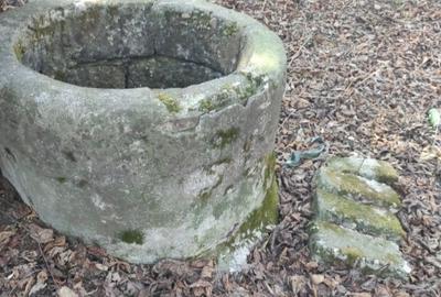 Teren intravilan Capul Piscului Meri?ani 500-1700 mp. - 6