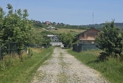 Teren 536mp Cercu - 5