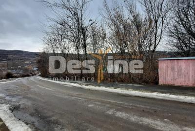 Teren Construcții intravilan de 10435 mp, în Huși - 2