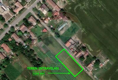 Teren agricol intravilan de 1200 mp, în Variașu Mare - 1