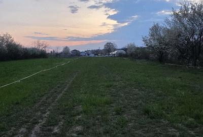 Teren de 2000 mp, în Central - 5