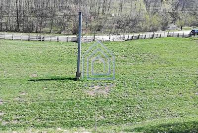 Teren de 10566 mp, în Vama - 4