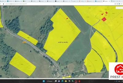 Teren agricol 4.2 ha Nades-Mures 2 euro mp - 2