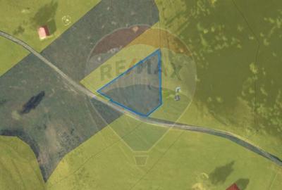 Teren agricol extravilan de 1924 mp, în Șirnea - 10