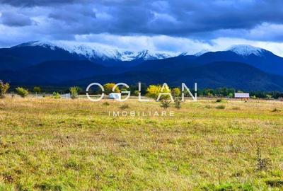 SUPER OFERTA! Teren 2000mp - Valea Avrigului, Sibiu SUPER OFERTA! Teren 2000mp - Valea Avrigului, Sibiu - 1