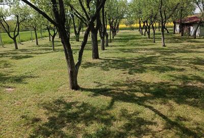 Spațiu comercial, în Crestur - 1