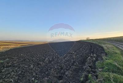 Teren agricol extravilan de 30077 mp, în Stroiești - 15