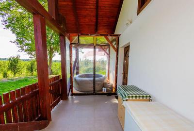 MERISOR - proprietate de vanzare - 4