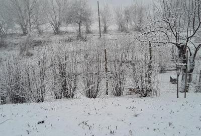 Casă cu 3 camere în Amnaș - 10