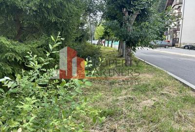 Teren generos de 8.267 mp în Predeal, Strada Nicolae Bălcescu. - 6
