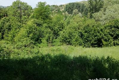 Casa cu teren 11414 mp , Vladimir-Andreesti , Jud.Gorj Pret 60000 - 9