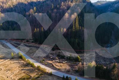 Oportunitate de investitie! Teren intravilan, Colibita, jud. Bistrita-Nasaud - 2