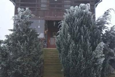 Casă cu 4 camere decomandat cu Teren 300 Mp în Central - 3