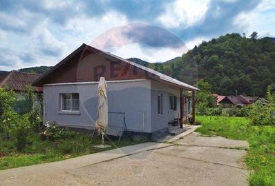 0% comision la cumparare Casa de vanzare in Baia Mare