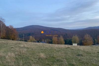 Teren intravilan Brebu Nou - Trei Ape - 4