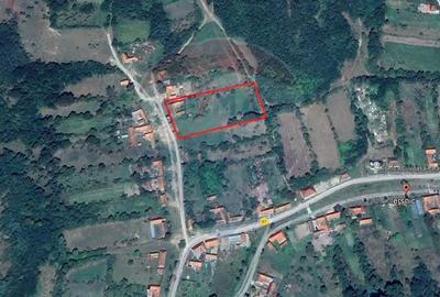 Casă cu 3 camere cu Teren 5786 Mp în Ierșnic - 2