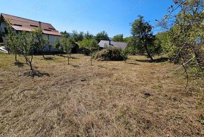 Teren de 1512 mp, în Fedeleșoiu - 9