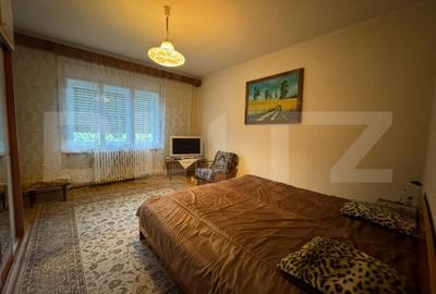 Casa cu 6 camere in Hunedoara zona Zlasti - 4
